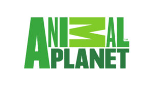 animalplanet-300x169